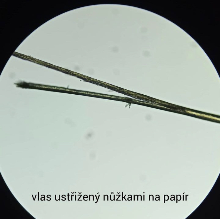 Proč je tak důležité pravidelně zastřihovat vlasy u kadeřníka? – fotografie 2